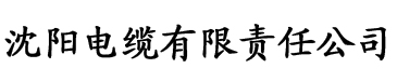 大香蕉亚洲视频在线播放电缆厂logo